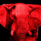 ELEPHANT-ROUGE-2 ELEPHANT CHLOROPHYLLE Elephant Showroom - Inkjet on plexi, limited editions, numbered and signed. Wildlife painting Art and decoration. Click to select an image, organise your own set, order from the painter on line