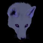GREY-FOX PURPLE FOX fox Showroom - Inkjet on plexi, limited editions, numbered and signed. Wildlife painting Art and decoration. Click to select an image, organise your own set, order from the painter on line
