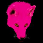 PINK-FOX YELLOW LIGHT FOX fox Showroom - Inkjet on plexi, limited editions, numbered and signed. Wildlife painting Art and decoration. Click to select an image, organise your own set, order from the painter on line