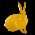 LAPIN-Gold Lapin Framboise rabbit Showroom - Inkjet on plexi, limited editions, numbered and signed. Wildlife painting Art and decoration. Click to select an image, organise your own set, order from the painter on line