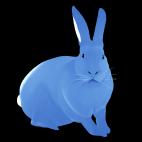 LAPIN-Layette LAPIN TURQUOISE rabbit Showroom - Inkjet on plexi, limited editions, numbered and signed. Wildlife painting Art and decoration. Click to select an image, organise your own set, order from the painter on line