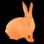LAPIN-Mandarine LAPIN Marron glace rabbit Showroom - Inkjet on plexi, limited editions, numbered and signed. Wildlife painting Art and decoration. Click to select an image, organise your own set, order from the painter on line