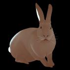 LAPIN-Marron-glace LAPIN Jaune  rabbit Showroom - Inkjet on plexi, limited editions, numbered and signed. Wildlife painting Art and decoration. Click to select an image, organise your own set, order from the painter on line
