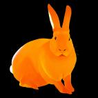 LAPIN-Orange- LAPIN Mandarine lapin Showroom - Inkjet sur plexi, éditions limitées, numérotées et signées .Peinture animalière Art et décoration.Images multiples, commandez au peintre Thierry Bisch online