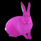 LAPIN-Rose Lapin Framboise rabbit Showroom - Inkjet on plexi, limited editions, numbered and signed. Wildlife painting Art and decoration. Click to select an image, organise your own set, order from the painter on line