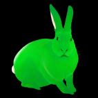 LAPIN-Vert LAPIN Mandarine lapin Showroom - Inkjet sur plexi, éditions limitées, numérotées et signées .Peinture animalière Art et décoration.Images multiples, commandez au peintre Thierry Bisch online