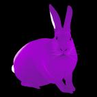 LAPIN-Violet Lapin Framboise rabbit Showroom - Inkjet on plexi, limited editions, numbered and signed. Wildlife painting Art and decoration. Click to select an image, organise your own set, order from the painter on line