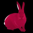 Lapin-Framboise LAPIN Violet rabbit Showroom - Inkjet on plexi, limited editions, numbered and signed. Wildlife painting Art and decoration. Click to select an image, organise your own set, order from the painter on line
