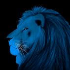 LION-BLEU LION ROSE Lion Showroom - Inkjet sur plexi, éditions limitées, numérotées et signées .Peinture animalière Art et décoration.Images multiples, commandez au peintre Thierry Bisch online