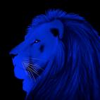 LION LIONESS RUST lionne lion Showroom - Inkjet sur plexi, éditions limitées, numérotées et signées .Peinture animalière Art et décoration.Images multiples, commandez au peintre Thierry Bisch online