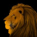 LION-GOLD LION ROUGE Lion Showroom - Inkjet sur plexi, éditions limitées, numérotées et signées .Peinture animalière Art et décoration.Images multiples, commandez au peintre Thierry Bisch online