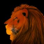 LION-ORANGE LION BRONZE Lion Showroom - Inkjet sur plexi, éditions limitées, numérotées et signées .Peinture animalière Art et décoration.Images multiples, commandez au peintre Thierry Bisch online